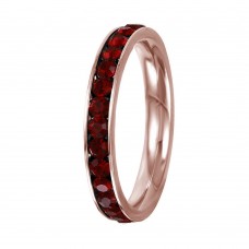 Rose Gold Stainless Steel January Garnet Birthstone Stackable Eternity Ring